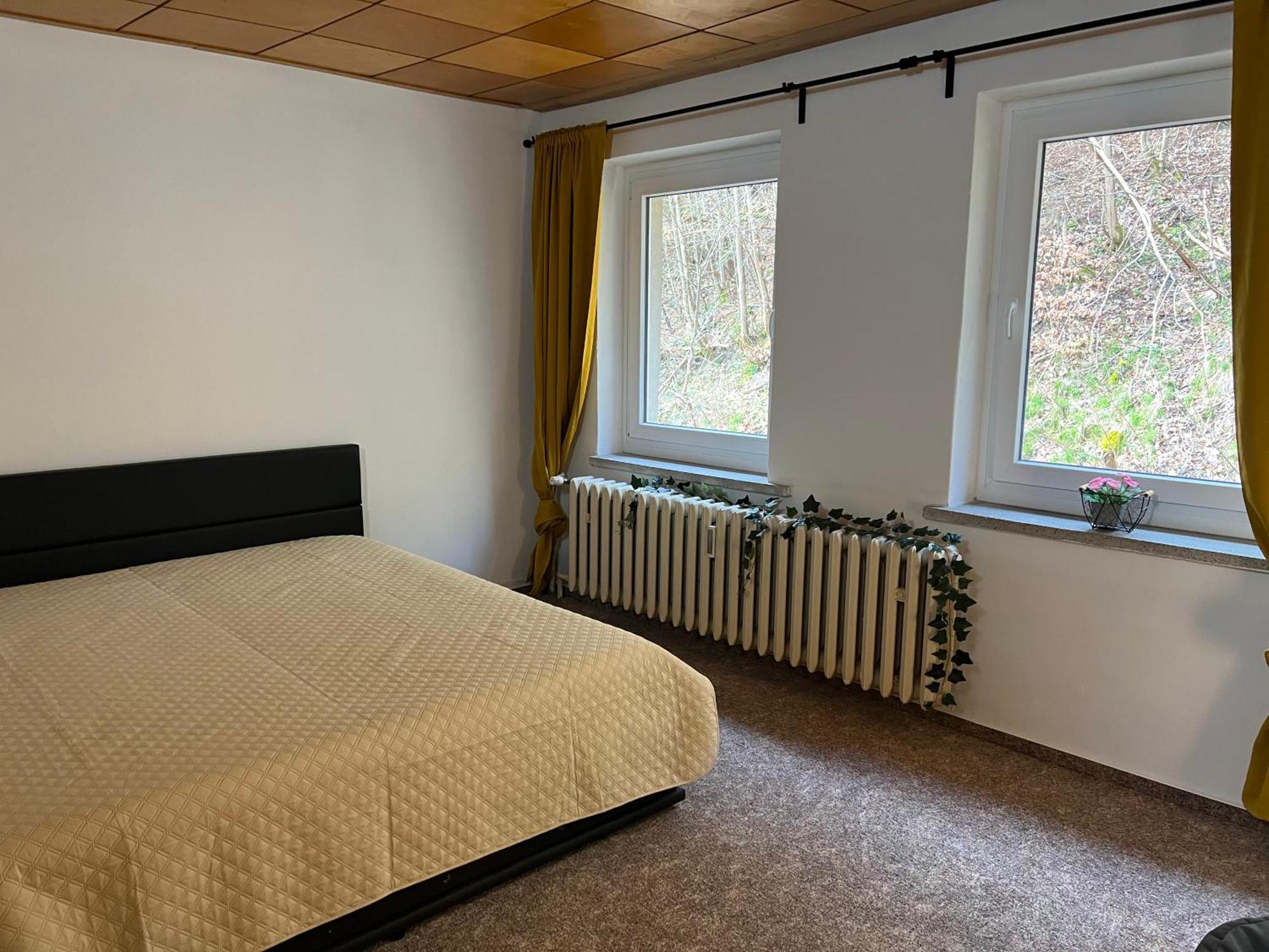Pension Sternschnuppe, Treseburg Harz, Unmittelbar Am Wasser Thale Bagian luar foto