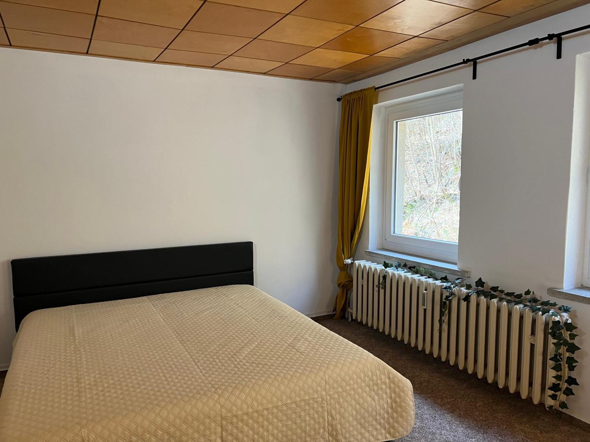 Pension Sternschnuppe, Treseburg Harz, Unmittelbar Am Wasser Thale Bagian luar foto